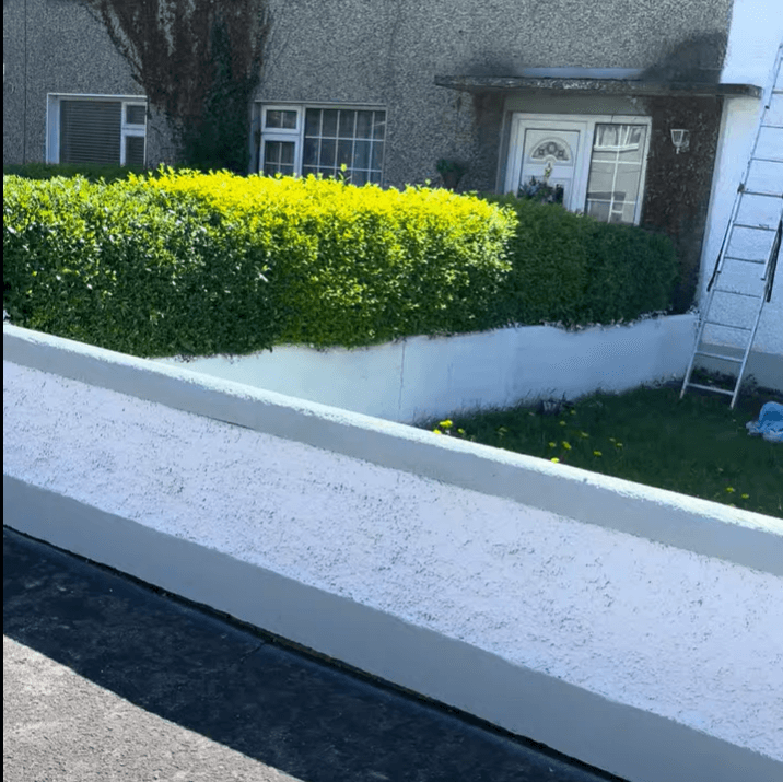 Garden Walls, Sheds & Fences